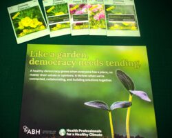 Like a garden, democracy (and climate change conversations) need tending.